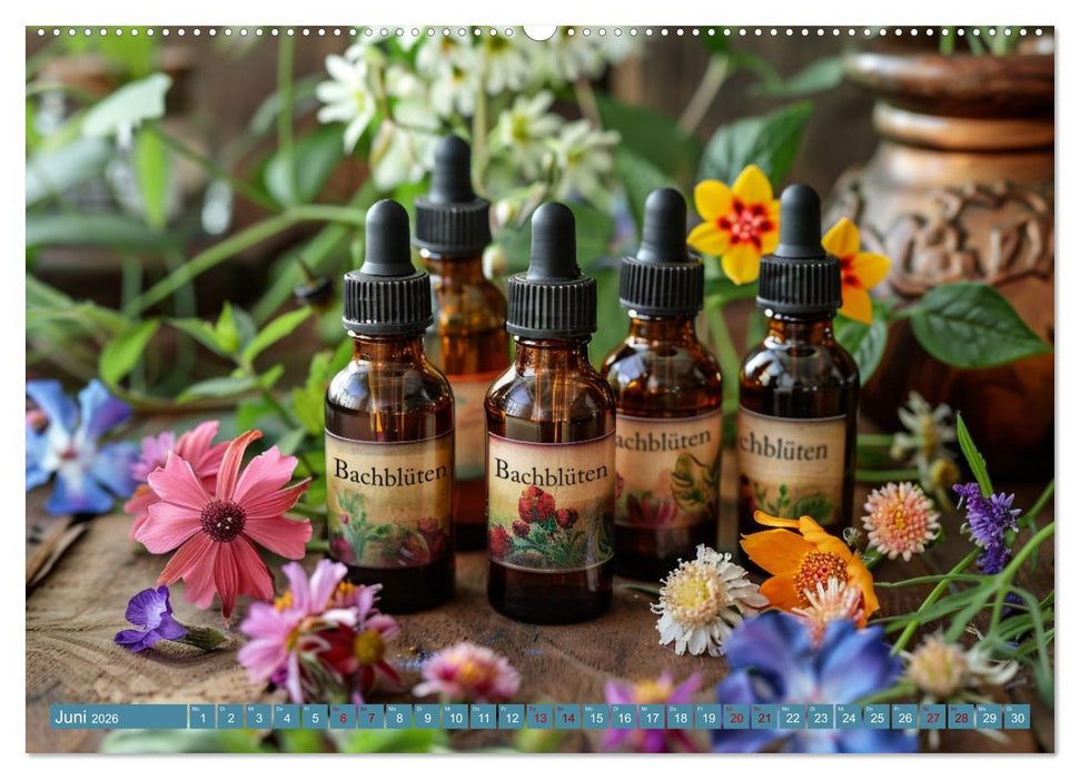 Heilung aus der Natur (CALVENDO Premium Wandkalender 2026)