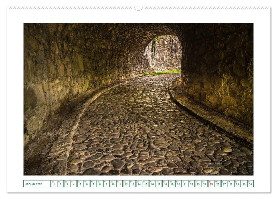 Festungsruine Hohentwiel im schönen Hegau (CALVENDO Premium Wandkalender 2026)