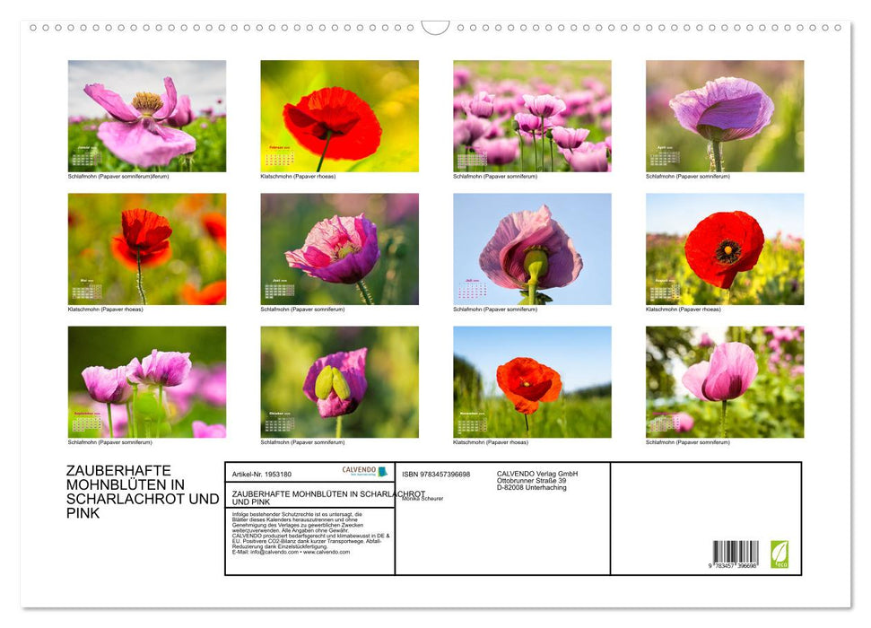 ZAUBERHAFTE MOHNBLÜTEN IN SCHARLACHROT UND PINK (CALVENDO Wandkalender 2026)