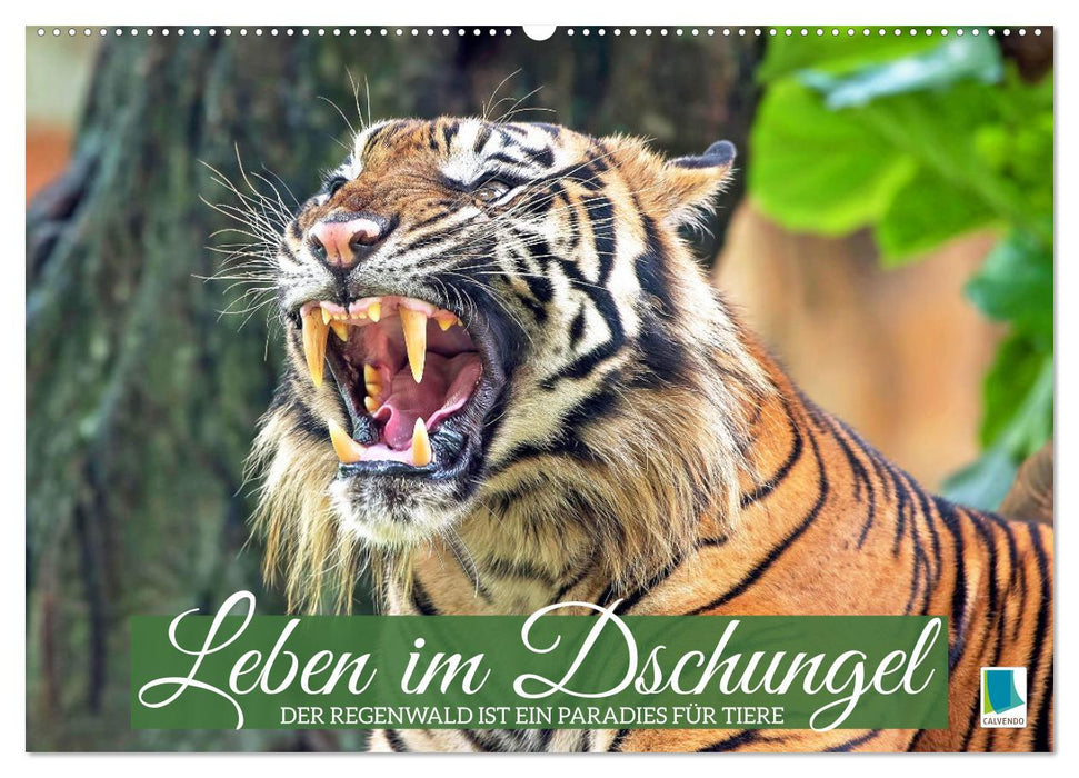Leben im Dschungel: Der Regenwald ist ein Paradies für Tiere (CALVENDO Wandkalender 2026)