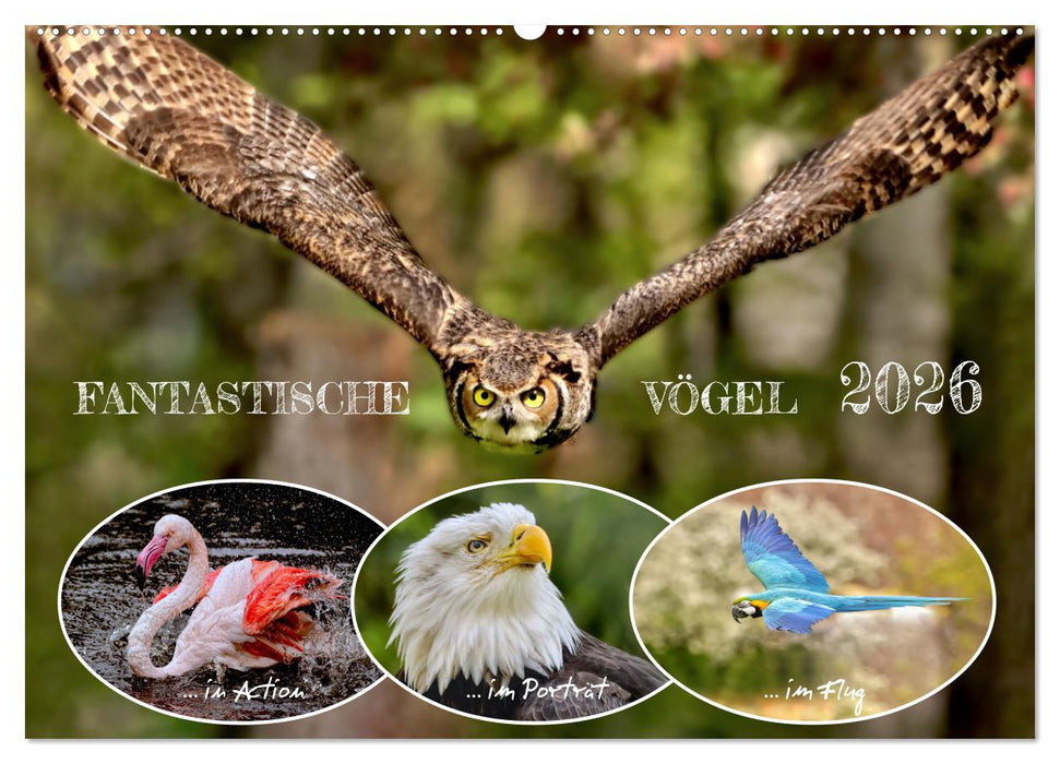 Fantastische Vögel (CALVENDO Wandkalender 2026)