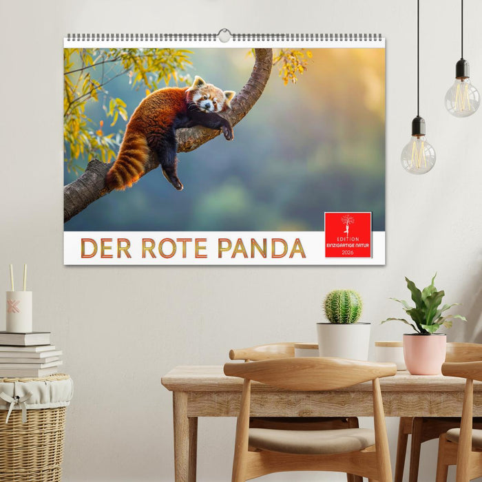 Der Rote Panda (CALVENDO Wandkalender 2026)