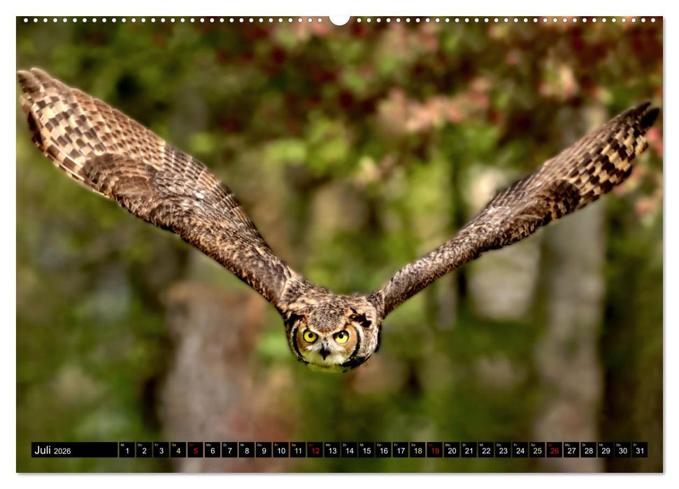 Fantastische Vögel (CALVENDO Premium Wandkalender 2026)