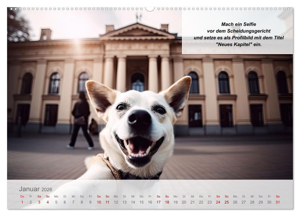 Endlich erfolgreich geschieden (CALVENDO Wandkalender 2026)