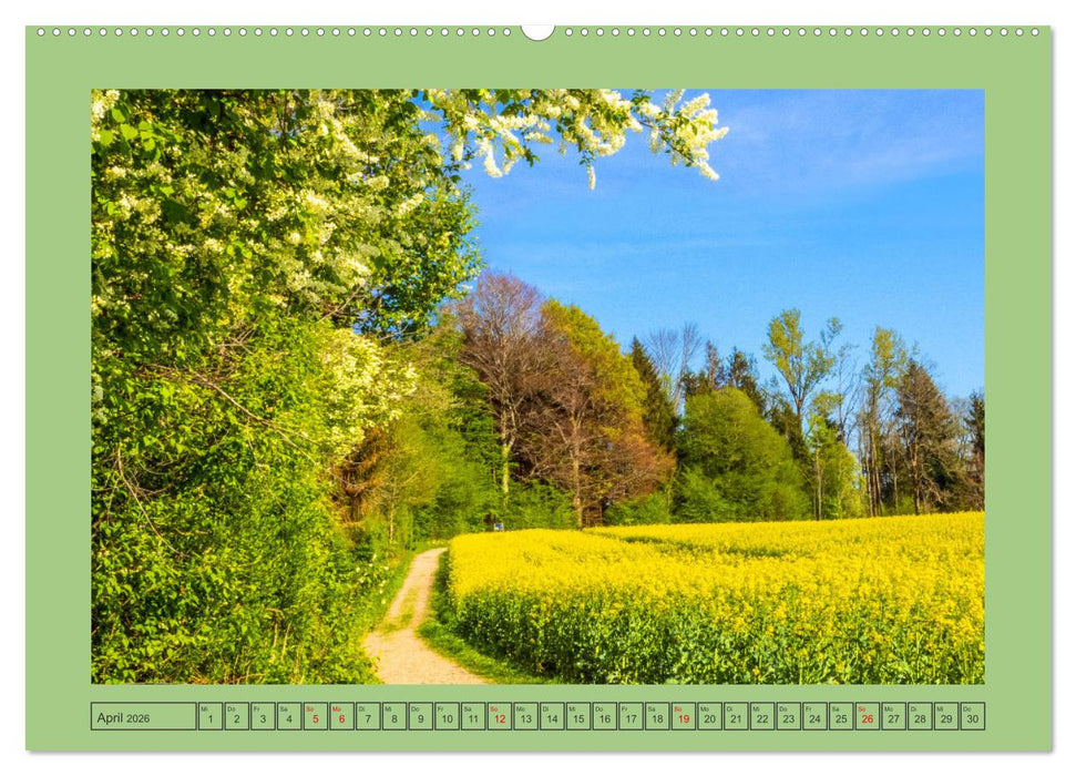 Schöne Wege im Salzburger Land (CALVENDO Premium Wandkalender 2026)