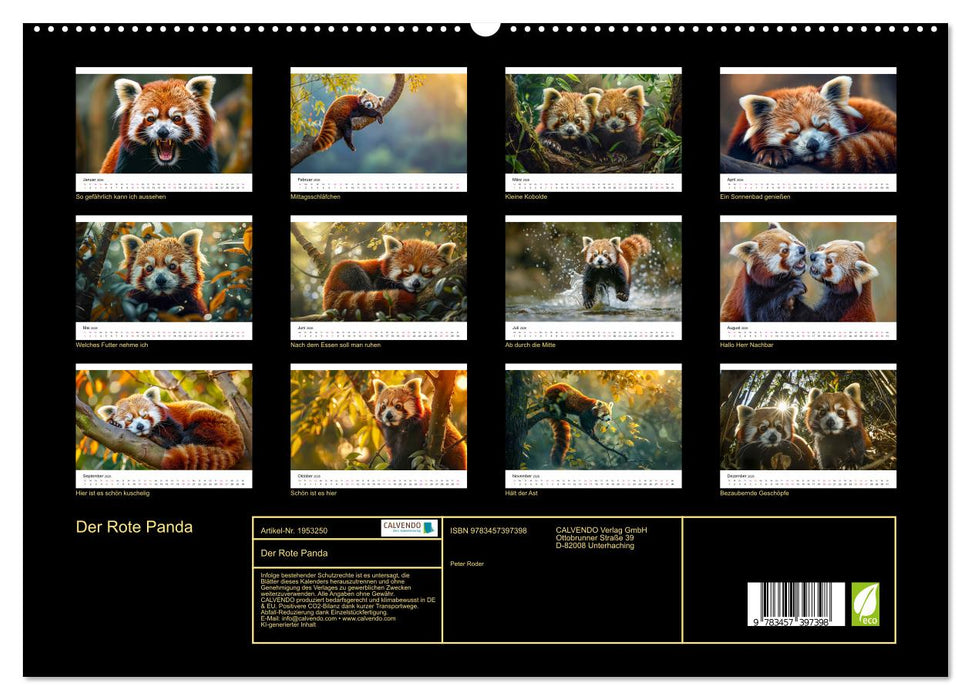 Der Rote Panda (CALVENDO Premium Wandkalender 2026)