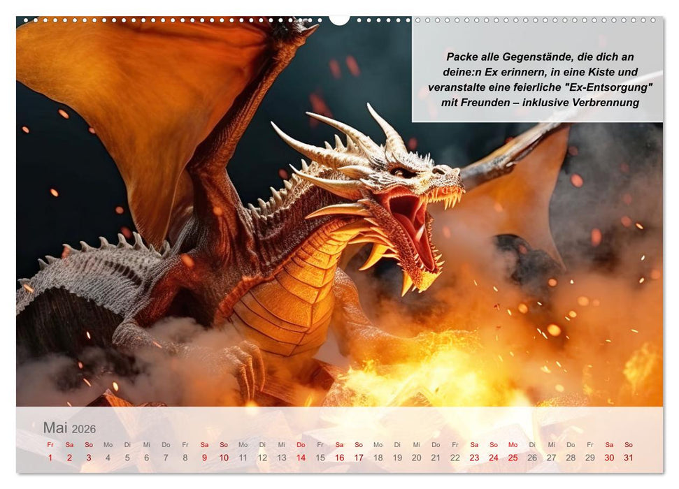 Endlich erfolgreich geschieden (CALVENDO Premium Wandkalender 2026)