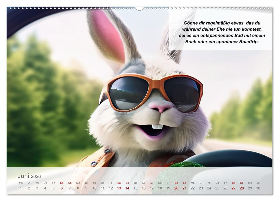 Endlich erfolgreich geschieden (CALVENDO Premium Wandkalender 2026)