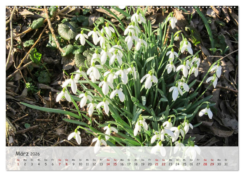 Vier Jahreszeiten - Eine Welt (CALVENDO Premium Wandkalender 2026)