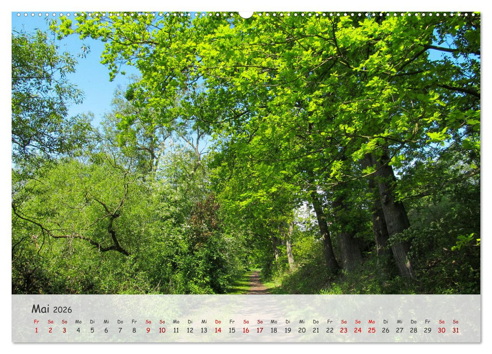 Vier Jahreszeiten - Eine Welt (CALVENDO Premium Wandkalender 2026)