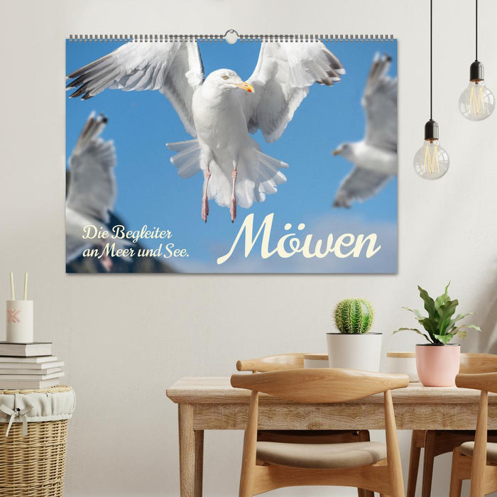 Möwen die Begleiter an Meer und See (CALVENDO Wandkalender 2026)
