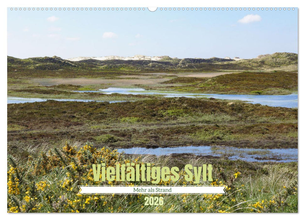 Vielfältiges Sylt - Mehr als Strand (CALVENDO Wandkalender 2026)