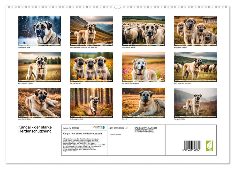 Kangal - der starke Herdenschutzhund (CALVENDO Premium Wandkalender 2026)