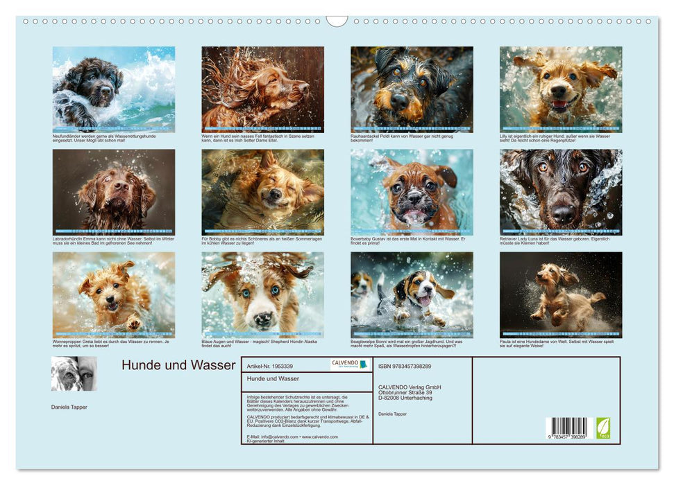 Hunde und Wasser (CALVENDO Wandkalender 2026)