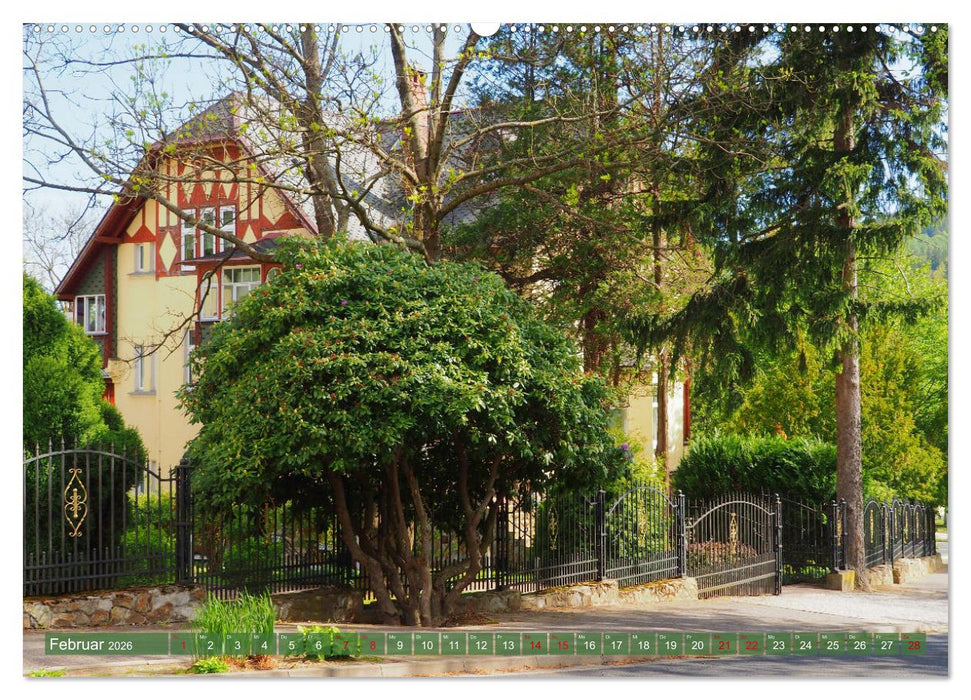 Bad Flinsberg und Umgebung (CALVENDO Premium Wandkalender 2026)