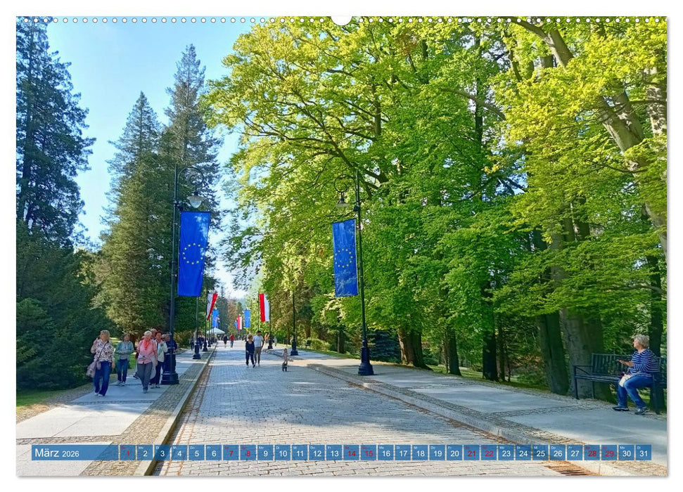 Bad Flinsberg und Umgebung (CALVENDO Premium Wandkalender 2026)