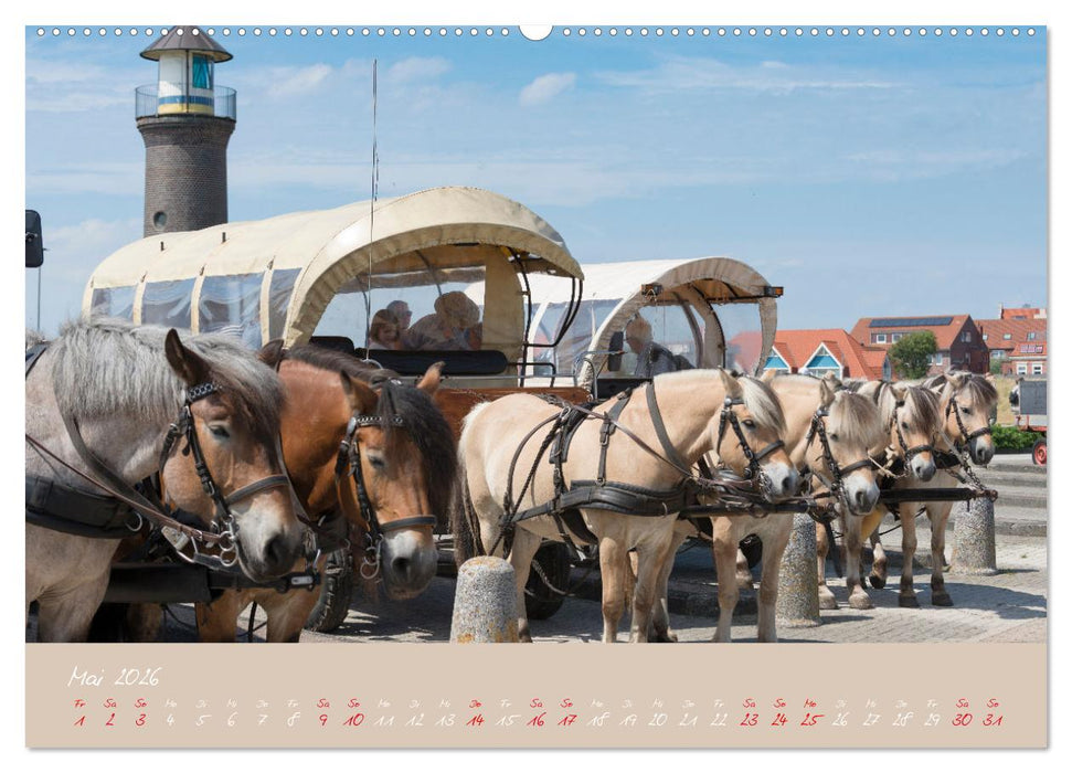 "Töwerland" Juist (CALVENDO Wandkalender 2026)