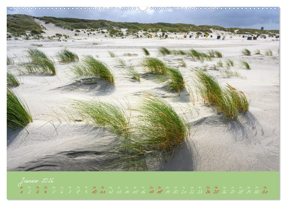 "Töwerland" Juist (CALVENDO Premium Wandkalender 2026)