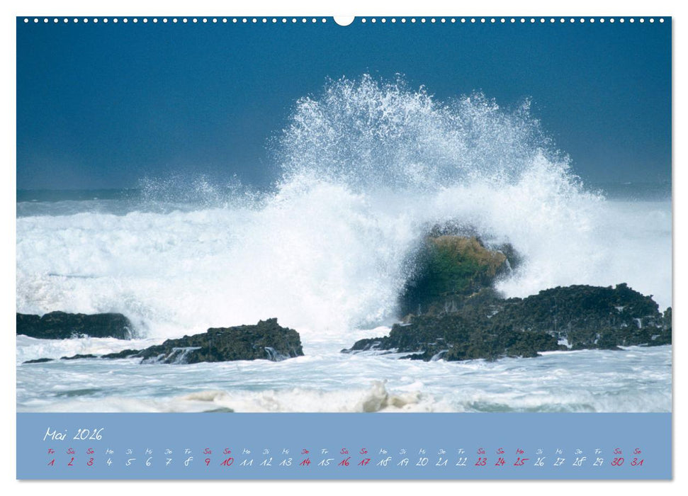 Brandung faszinierent und wild (CALVENDO Premium Wandkalender 2026)