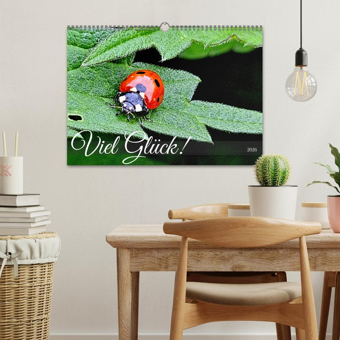 Viel Glück! (CALVENDO Wandkalender 2026)