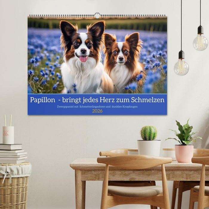 Papillon - bringt jedes Herz zum Schmelzen (CALVENDO Wandkalender 2026)