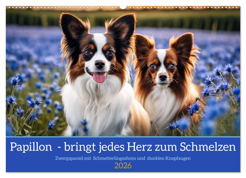 Papillon - bringt jedes Herz zum Schmelzen (CALVENDO Wandkalender 2026)