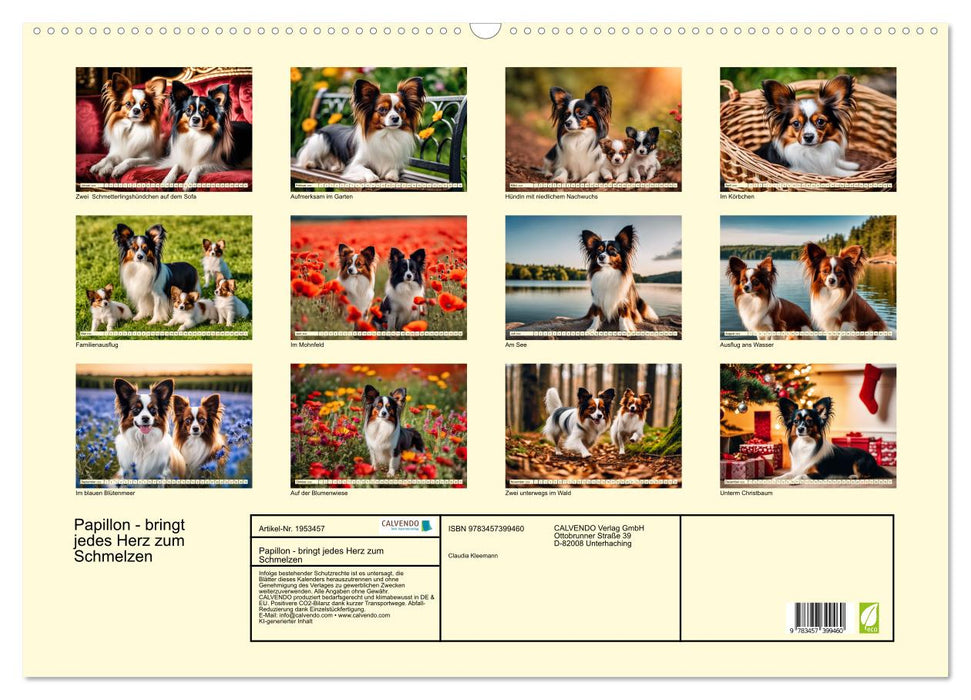 Papillon - bringt jedes Herz zum Schmelzen (CALVENDO Wandkalender 2026)