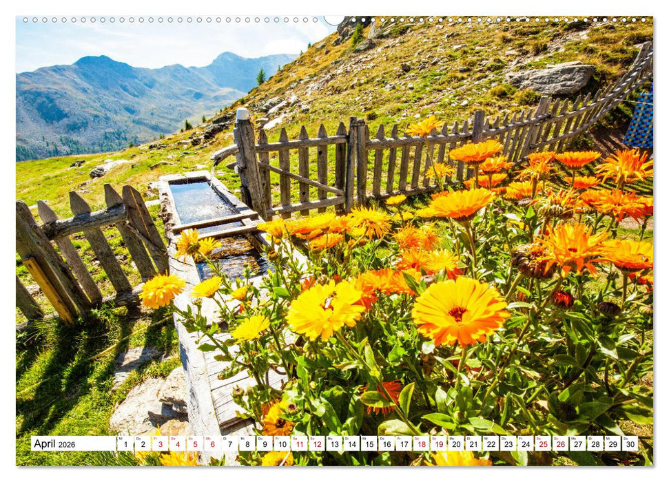 Almen im Südtiroler Ultental (CALVENDO Wandkalender 2026)