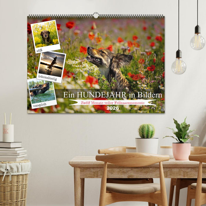 Ein Hundejahr in Bildern (CALVENDO Wandkalender 2026)