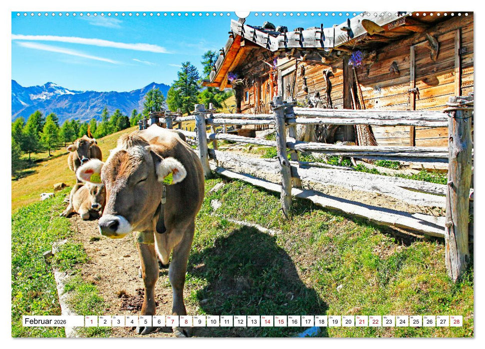 Almen im Südtiroler Ultental (CALVENDO Premium Wandkalender 2026)