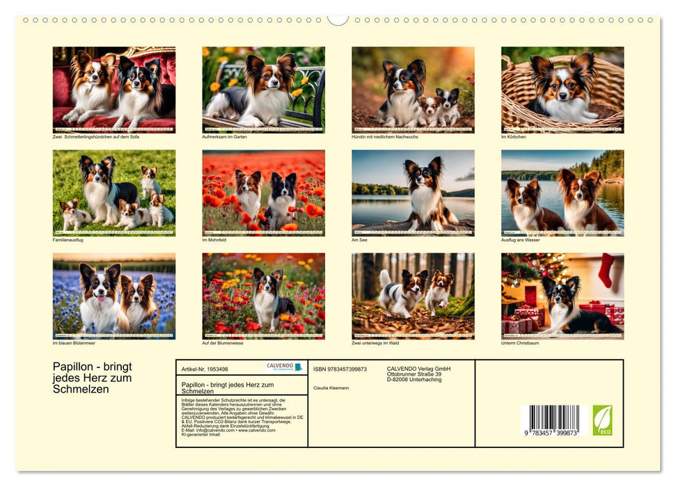 Papillon - bringt jedes Herz zum Schmelzen (CALVENDO Premium Wandkalender 2026)