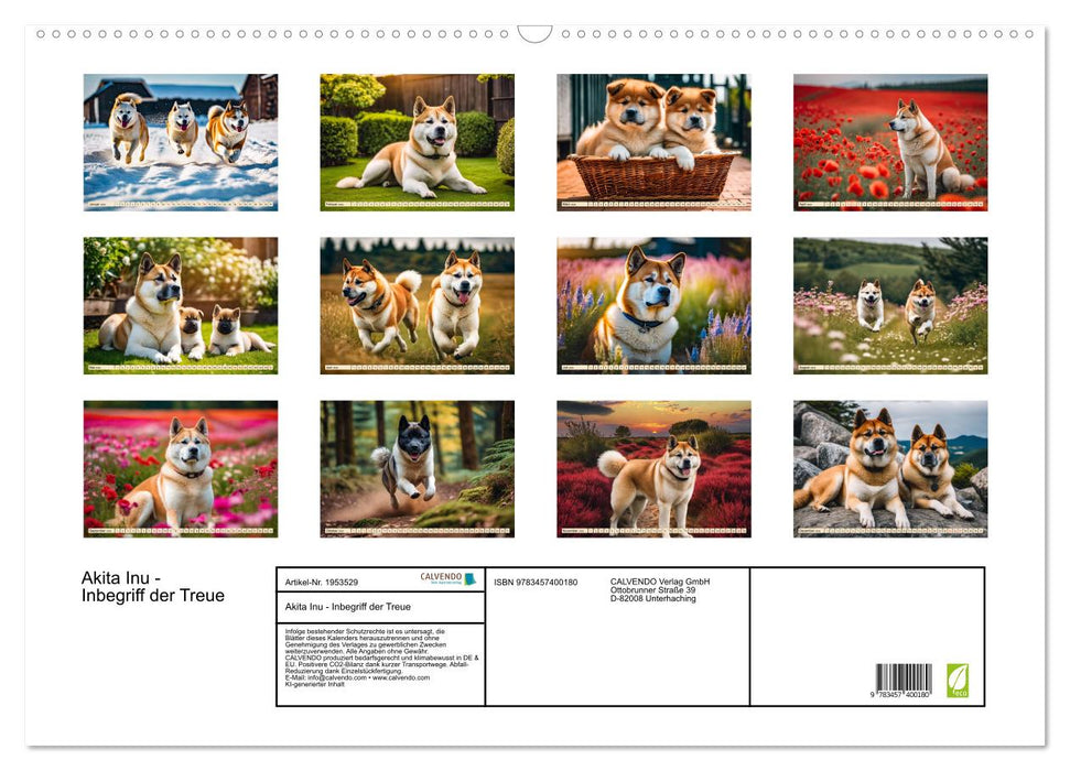 Akita Inu - Inbegriff der Treue (CALVENDO Wandkalender 2026)