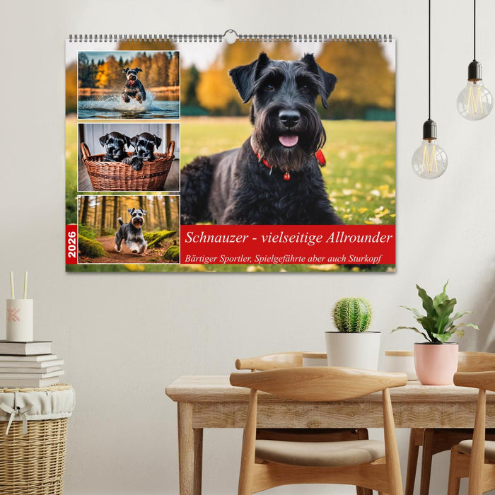 Schnauzer - vielseitige Allrounder (CALVENDO Wandkalender 2026)