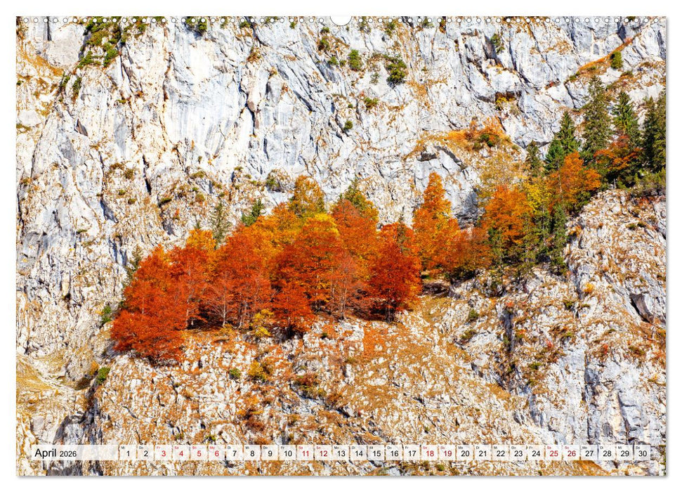 Herbstflammen im Karwendel- und Wettersteingebirge (CALVENDO Premium Wandkalender 2026)