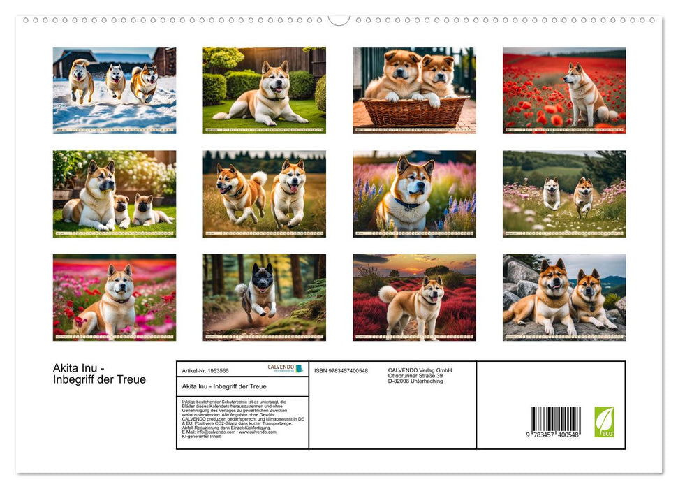 Akita Inu - Inbegriff der Treue (CALVENDO Premium Wandkalender 2026)