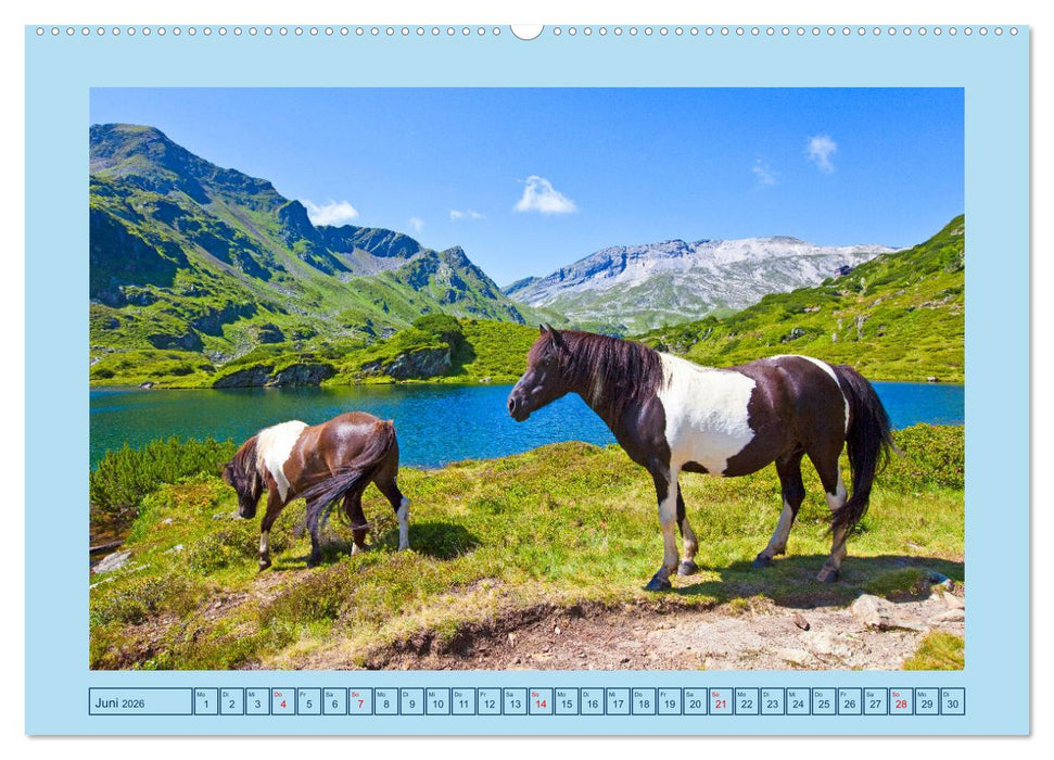 Die Giglachseen (CALVENDO Wandkalender 2026)