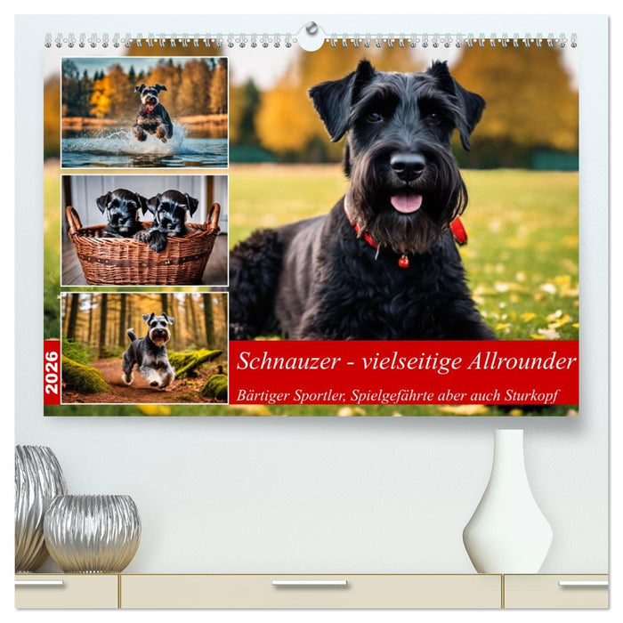 Schnauzer - vielseitige Allrounder (CALVENDO Premium Wandkalender 2026)