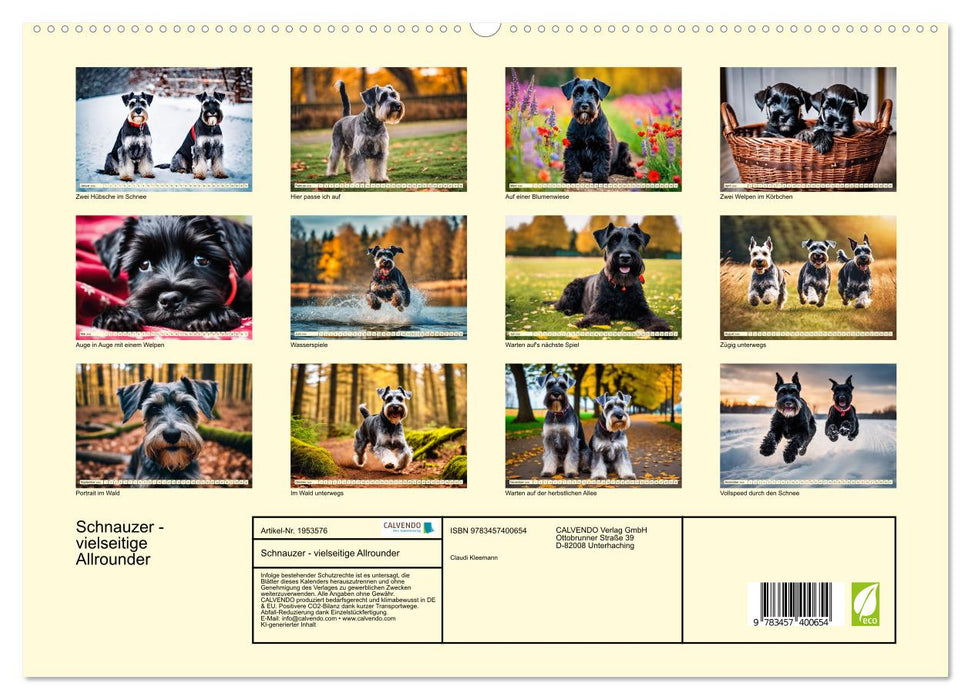 Schnauzer - vielseitige Allrounder (CALVENDO Premium Wandkalender 2026)
