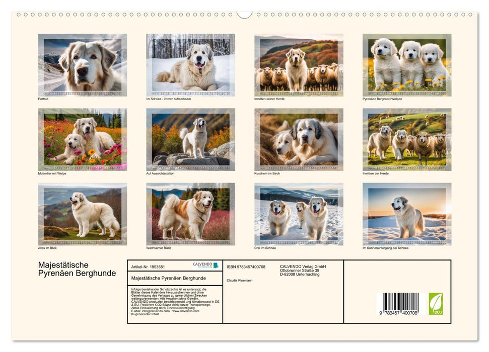 Majestätische Pyrenäen Berghunde (CALVENDO Premium Wandkalender 2026)