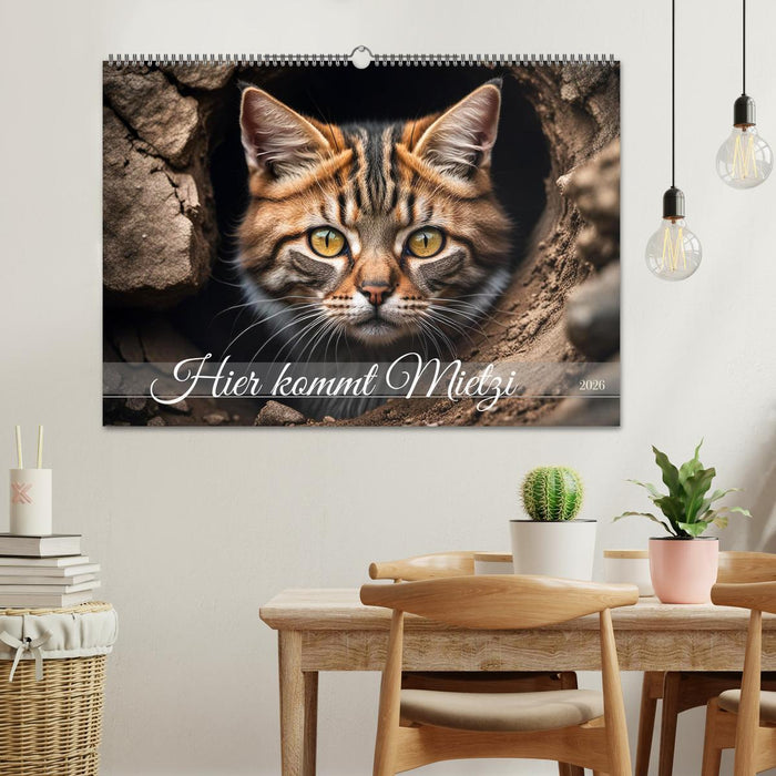 Hier kommt Mietzi (CALVENDO Wandkalender 2026)