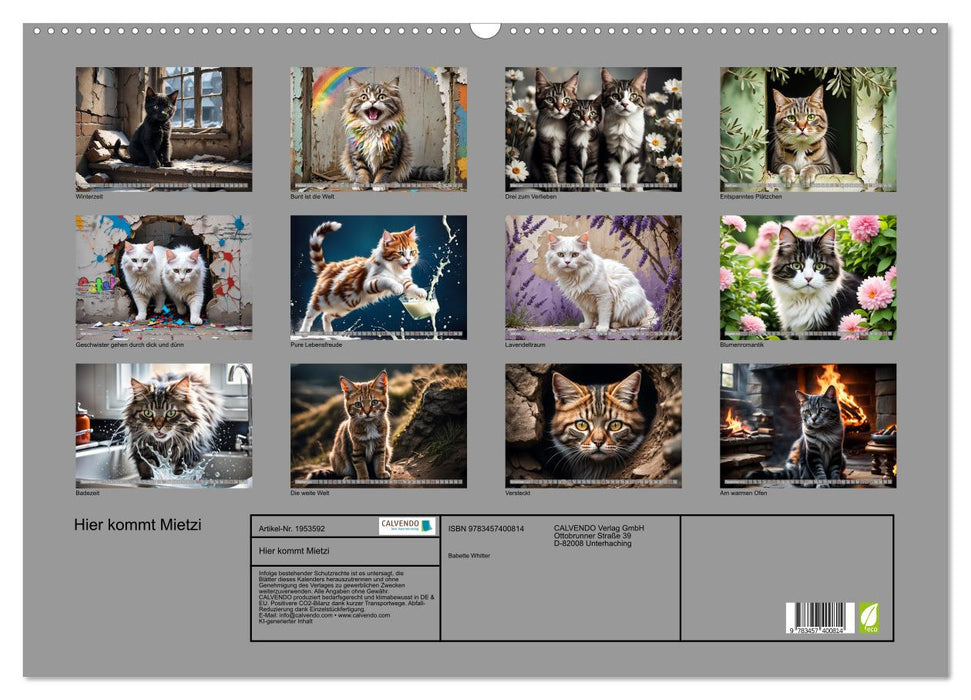 Hier kommt Mietzi (CALVENDO Wandkalender 2026)
