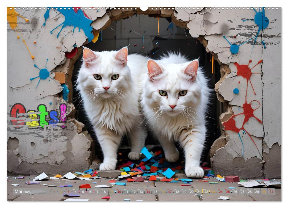 Hier kommt Mietzi (CALVENDO Wandkalender 2026)