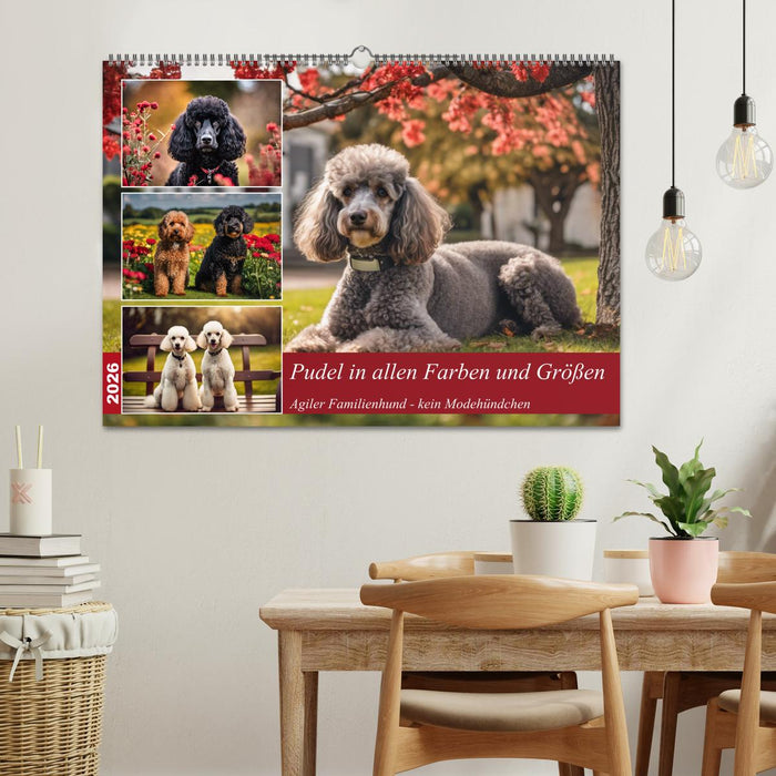 Pudel in allen Farben und Größen (CALVENDO Wandkalender 2026)