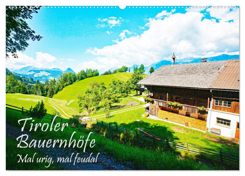 Tiroler Bauernhöfe Mal urig, mal feudal (CALVENDO Wandkalender 2026)