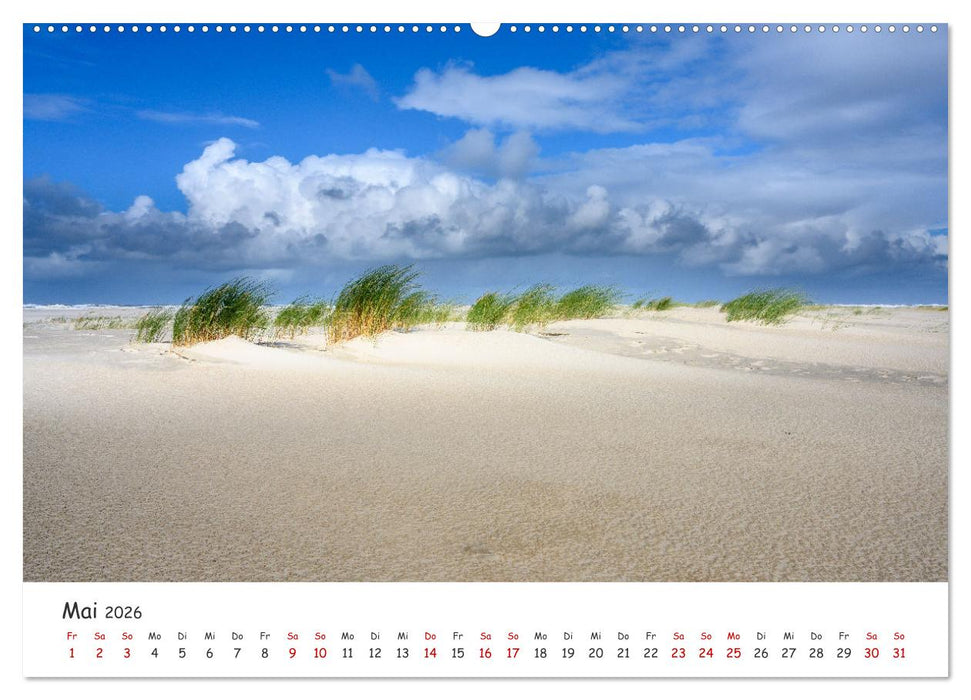 Nordsee, Meer, Strand und Wind (CALVENDO Premium Wandkalender 2026)