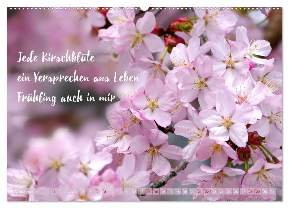 Haiku Poesie in Wort und Bild (CALVENDO Wandkalender 2026)