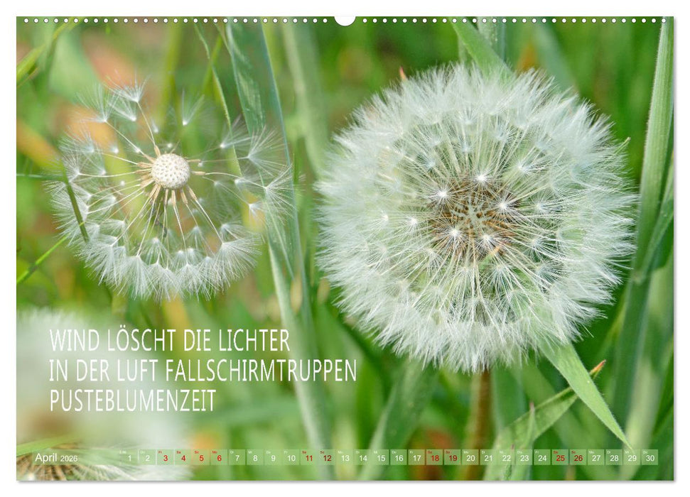 Haiku Poesie in Wort und Bild (CALVENDO Wandkalender 2026)