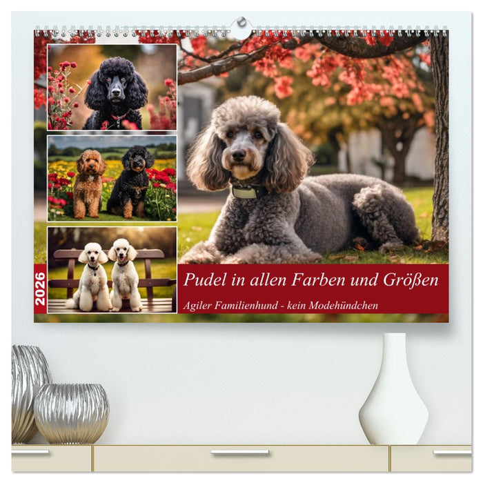 Pudel in allen Farben und Größen (CALVENDO Premium Wandkalender 2026)