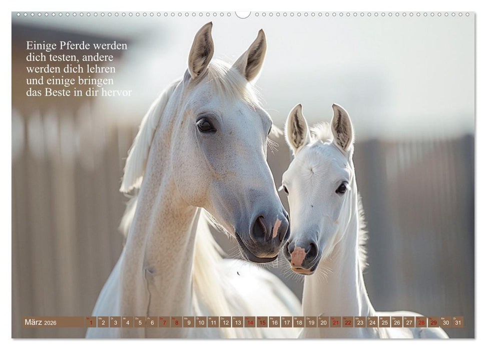 Pferde vervollständigen dein Leben (CALVENDO Wandkalender 2026)