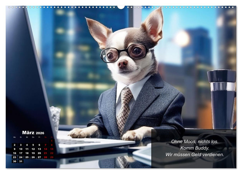 Lustige Chihuahua-Momente (CALVENDO Premium Wandkalender 2026)